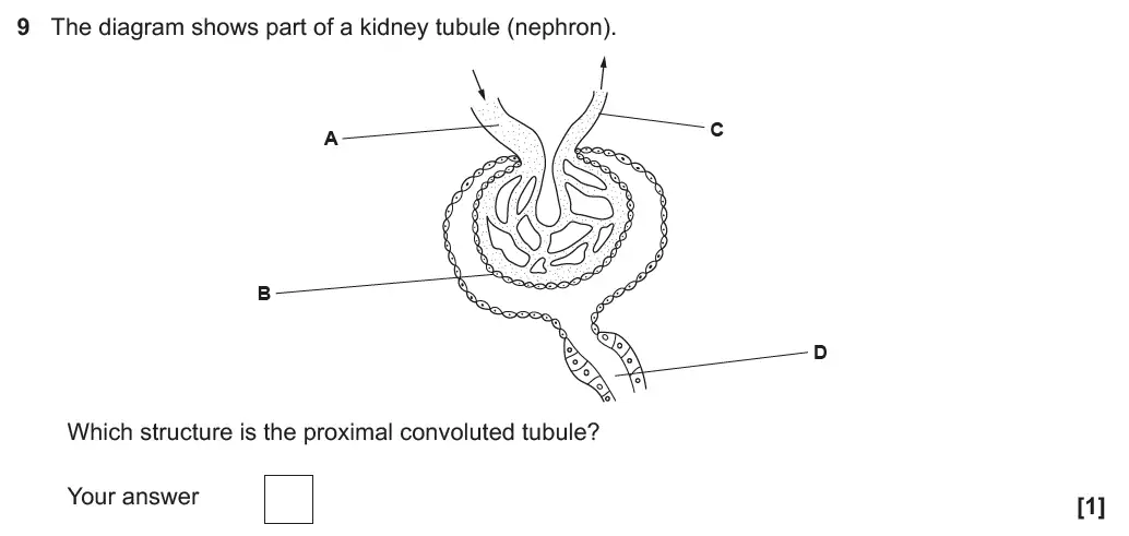 Question 9 - GCSE OCR Higher Biology Past Paper 3 - June 2019
