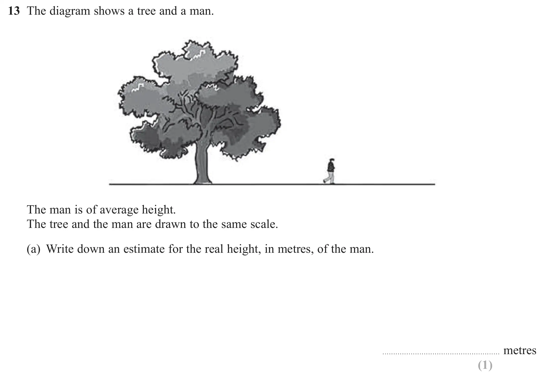 Question 13(a) - GCSE Edexcel Foundation Maths Past Paper 1 (Non-Calculator) - June 2017