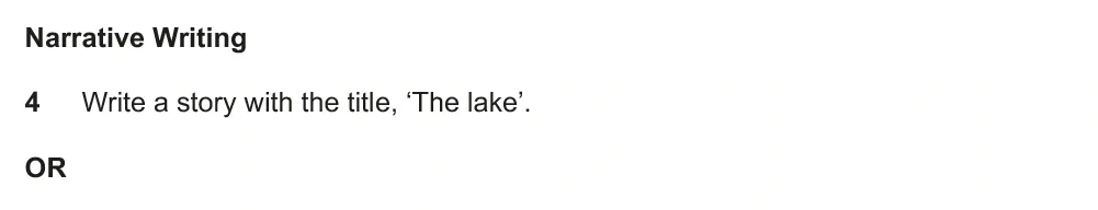 Writing task 04 - Cambridge IGCSE June 2022 TZ2 English Language Composition Paper 2