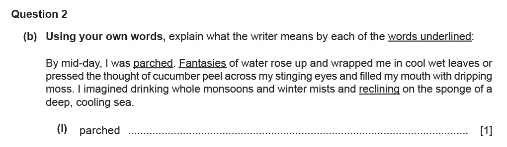 Question 02(b)(i) - Cambridge IGCSE November 2021 TZ1 English Language Reading Paper 1