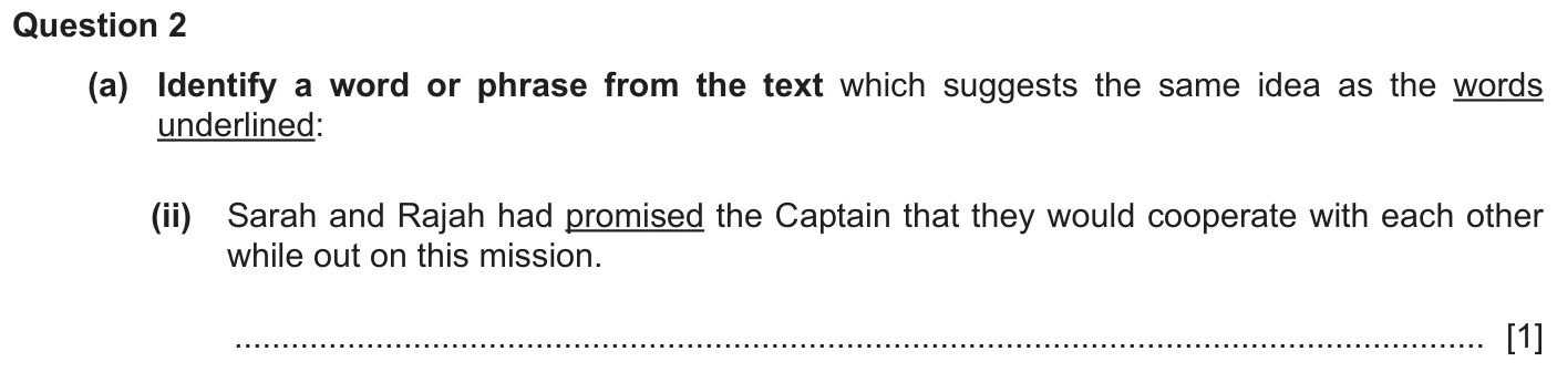 Question 2a (ii) - Cambridge IGCSE November 2025 TZ3 English Language Reading Paper 1