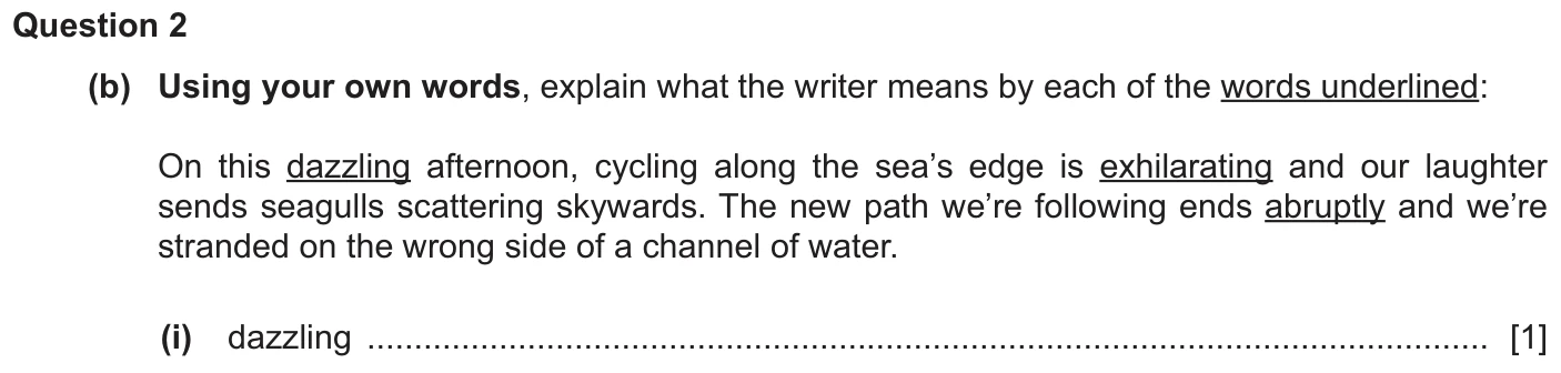Question 2b (i) - Cambridge IGCSE June 2025 TZ1 English Language Reading Paper 1