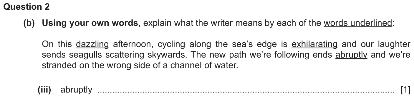 Question 2b (iii) - Cambridge IGCSE June 2025 TZ1 English Language Reading Paper 1