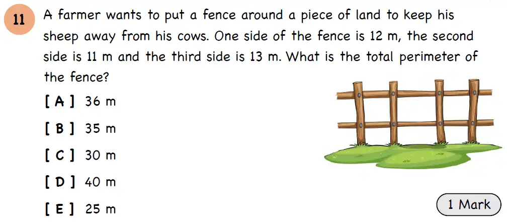 Question 11 - Year 3 - Length, Mass, Capacity - Assessment 3